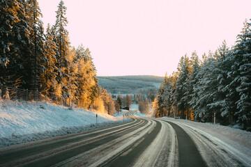 Winter forest road