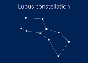 Lupus zodiac constellation sign with stars on blue background of cosmic sky © Влад Мясищев