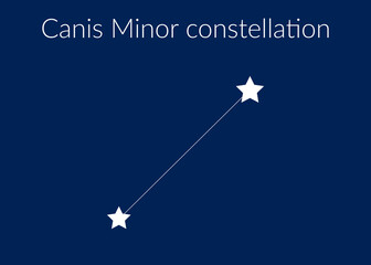 Canis minor zodiac constellation sign with stars on blue background of cosmic sky