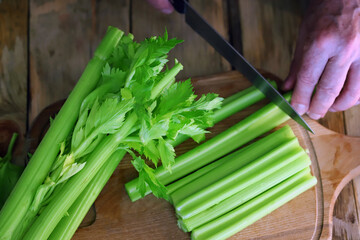 Selective focus. The cook cuts celery sticks with a knife. Fresh celery. © Oksana
