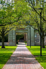 Obraz premium path in the park