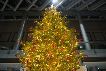Fototapeta na wymiar クリスマスツリー・イルミネーション