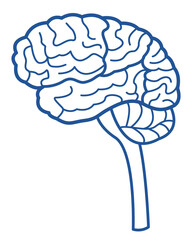 Human brain contour icon