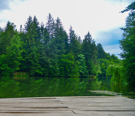 A lake in the forest