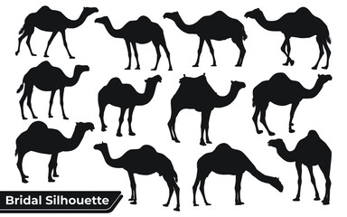 Collection of Camel Silhouette in different poses