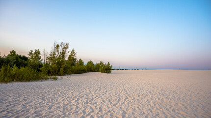 sunrise over the sand beach . Morning in the summer . Blue sky . Forest in the desert. Sunrise over the sand desert