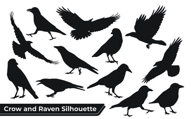 Collection of Crow and Raven Silhouette in different poses
