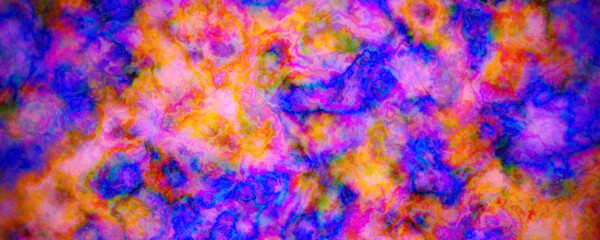 colorful sea corrals, texture, wallpaper, background with corrals