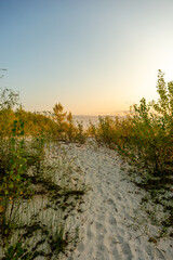 morning in the mountains