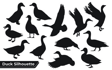 Collection of Duck Silhouette in different poses