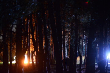 fire in the night forest in the night . Night landscape. Nightsky and clouds . Stars in the sky . 
