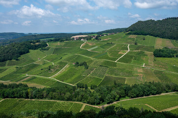 Fototapeta na wymiar Panoramic view on green hilly vineyards near wine village Chateau-Chalon in Jura, France