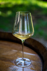 Tasting of dry burgundy white wine made from chardonnay grapes, wine tourisme to Burgundy Cote de Beaune wine region, France
