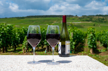 Tasting of burgundy red wine from grand cru pinot noir  vineyards, two glasses of wine and view on green vineyards in Burgundy Cote de Nuits wine region, France