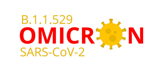 Omicron New SARS Mutation Variant B.1.1.529 Concept. Public Health Risk. Fight Against Coronavirus