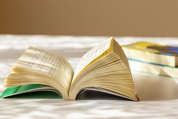 机の上に開かれた本