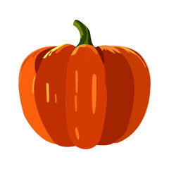pumpkin isolated on white. verctor illustration. 