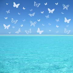 Papillons sur une mer turquoise