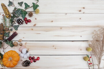 Green English Ivy Orange Pumpkin Cranberries Pine Cones Acorns on Left and Dried Tan Grasses on Lower Right of Natural Wood Panel Background with Room for Text