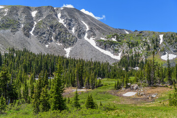 Spring Mountain - A bright sunny Spring day view of a rugged high mountain peak surrounded by evergreen forest, as seen from Pawnee Pass Trail. Indian Peaks Wilderness, Colorado, USA.