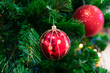 Red christmas ball with ornament decorate hangfing on pine tree