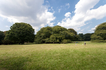 砧公園（都立砧公園・東京都世田谷区）
