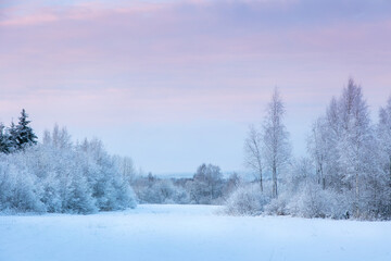 Beautiful winter landscape with field of white snow and forest on horizon on sunny frosty day
