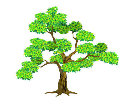 Cloud Pruned Topiary Tree Vector Illustration