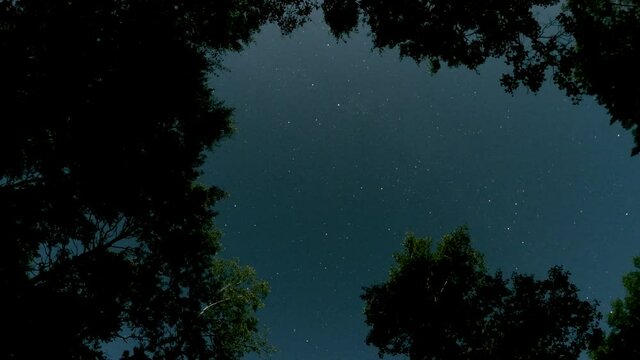 Looking up at stars rotating through trees time lapse