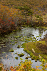 紅葉のグダリ沼