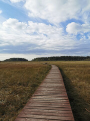 Wooden plank flooring over a swamp with yellowed grass against a beautiful sky with clouds