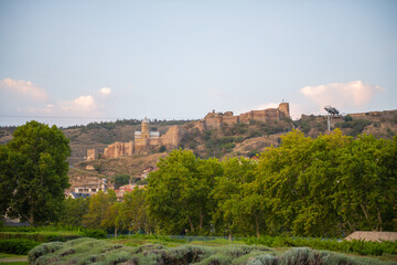 Obraz premium Narikala fortress is covered with greenery in Tbilisi