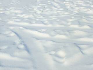 Shadows  and patterns on the surface of snow