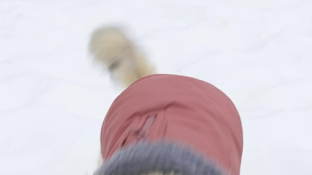 Adorable Puppy Runs on Snow and Slips but Recovers Smooth in Slow Motion