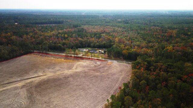 Natural mixed forest deforestation cleared land for destructive mono cropping