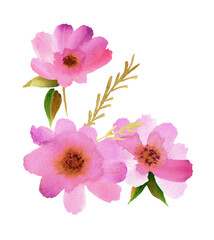 Watercolor pink flower bouquet. Hand painted illustration. High quality photo