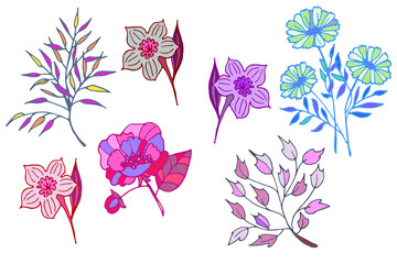 a set of colored vector flowers