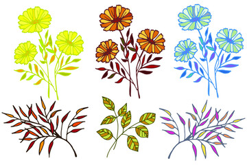 a set of colored vector flowers