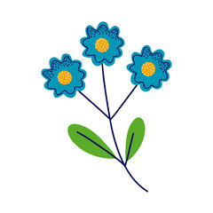 three flowers blue