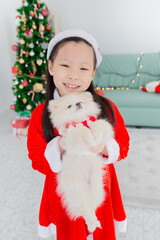 Asian children play with baby shih tzu dog, she carry puppy with hands, Christmas celebration