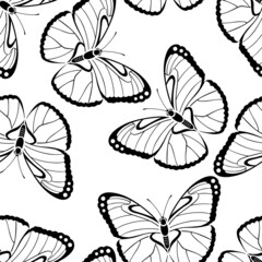 Butterflies seamless pattern. Black silhouettes on white background.  Butterfly vector outline illustration.