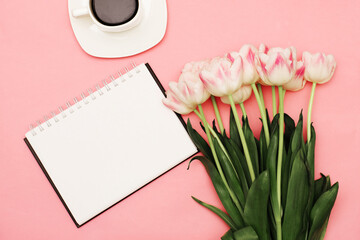 A beautiful bouquet of delicate pink tulips next to a cup of coffee on a pink background with a place for your text on a white background