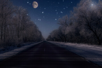 forest stars moon sky night snow road