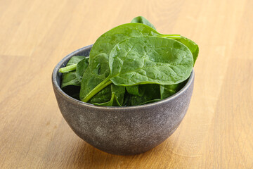 Fresh green spinach leaves in the bowl