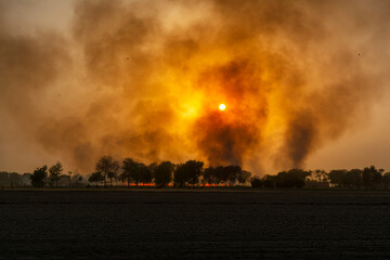 wheat fields on fire after harvesting in India and Pakistan  is main reason of smog in this area 