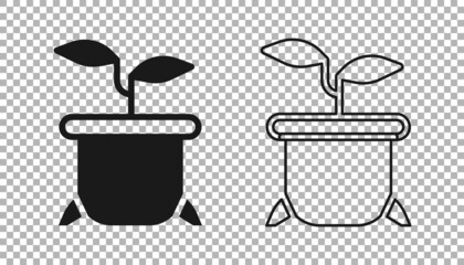 Black Plant in pot icon isolated on transparent background. Plant growing in a pot. Potted plant sign. Vector