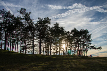 Sunset behind the trees
