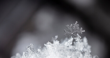 Beautiful ice crystal lies in the snow, Christmas And Winter Background