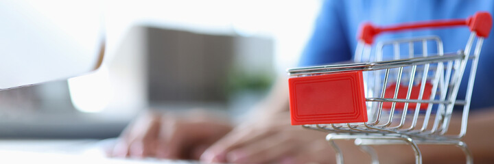 Woman is shopping at online store at home
