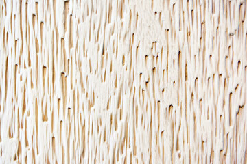 Wood white texture background